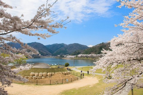 安芸高田市2