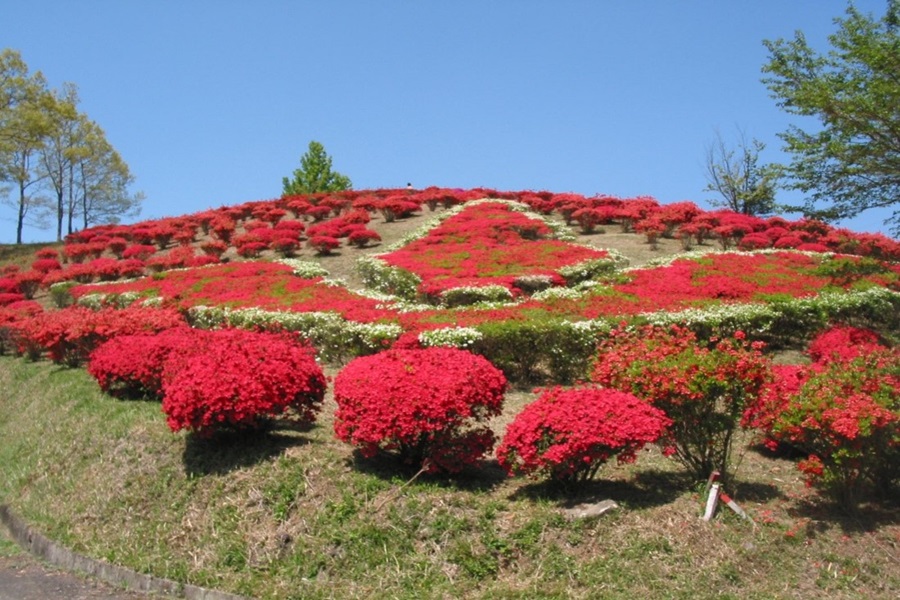熊本県球磨郡山江村1